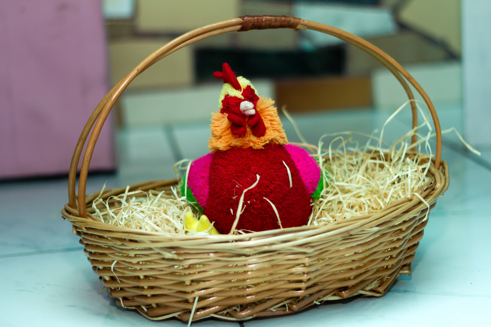Galinha no cesto com palha Tema Fazendinha pelo fotógrafo Douglas Maia