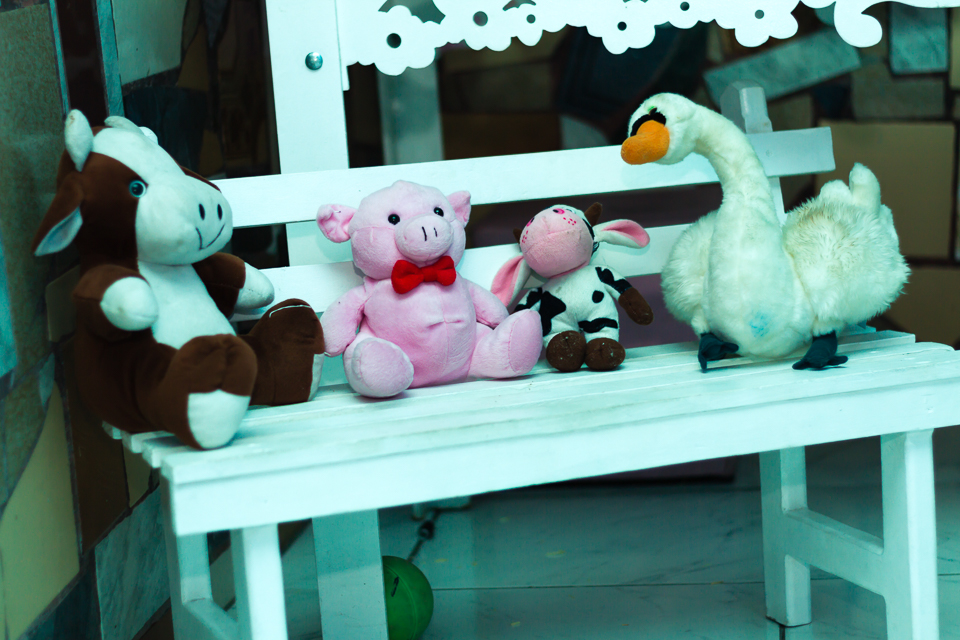 Bichinhos de pelúcia na decoração Tema Fazendinha pelo fotógrafo Douglas Maia