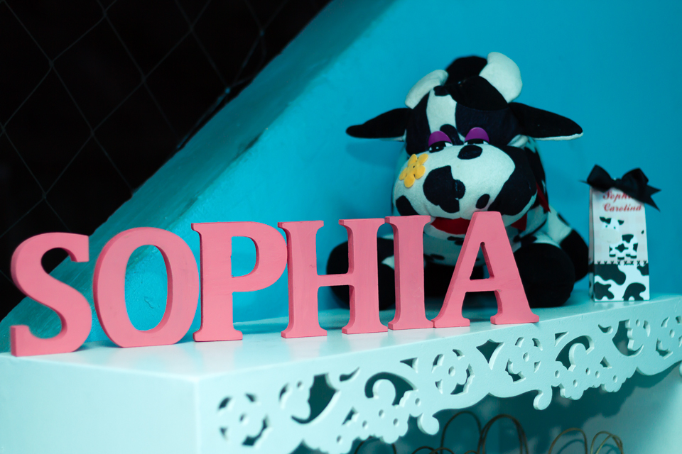 Sophia 2 anos pelo fotógrafo Douglas Maia