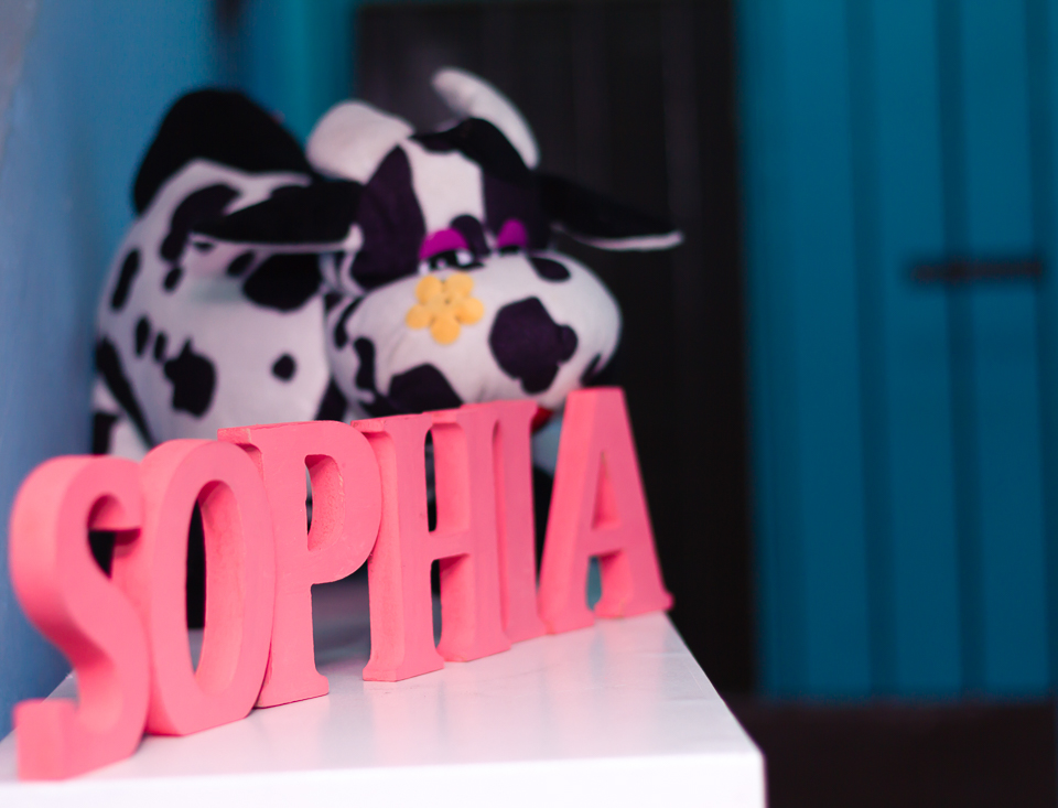 Letras Sophia Tema Fazendinha pelo fotógrafo Douglas Maia