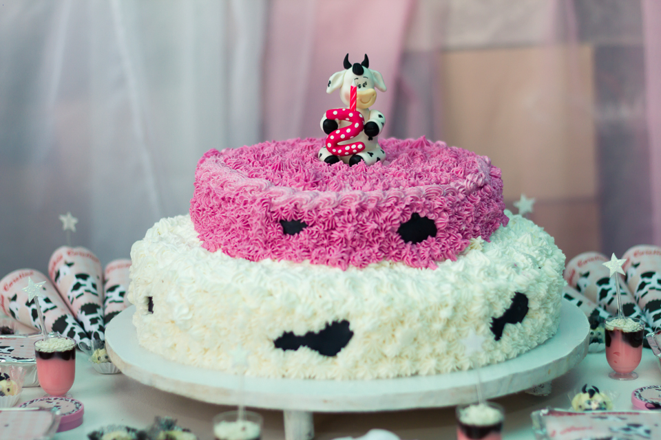 Bolo personalizado vaquinha Tema Fazendinha pelo fotógrafo Douglas Maia