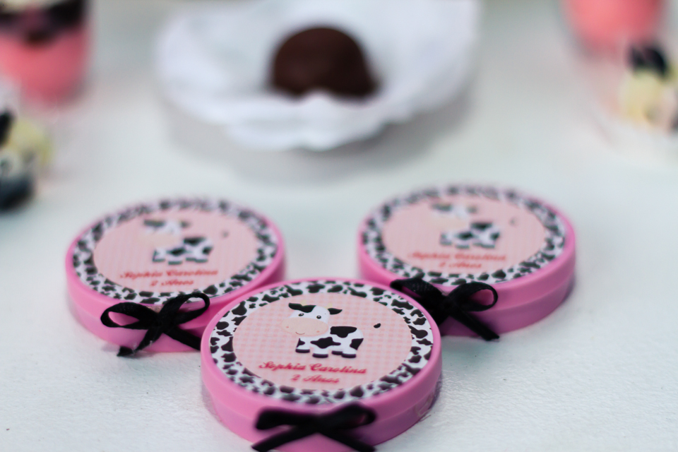 Scrapbook Latinha Tema Fazendinha pelo fotógrafo Douglas Maia