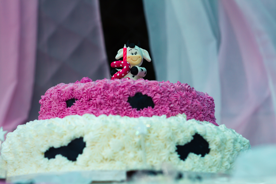 Bolo Tema Fazendinha pelo fotógrafo Douglas Maia