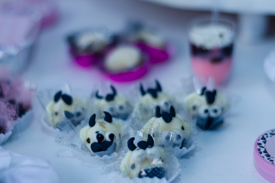 Doce personalizado vaquinha Tema Fazendinha pelo fotógrafo Douglas Maia