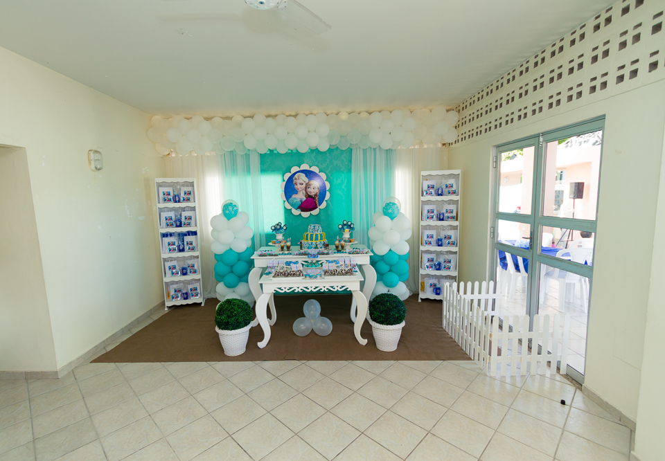 Maria Eduarda 8 anos Tema Frozen pelo fotógrafo Douglas Maia