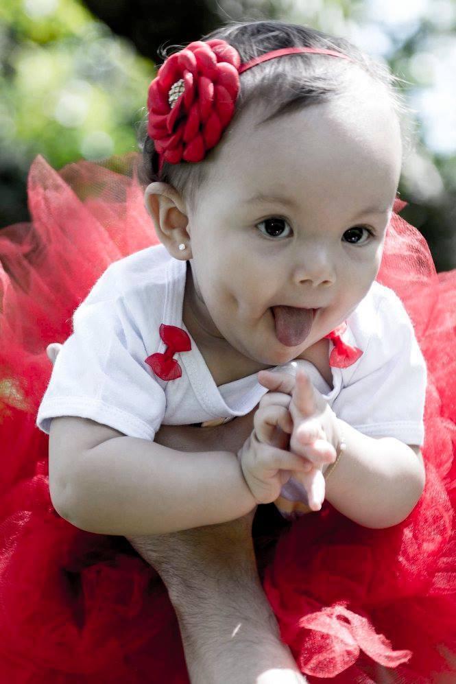 fotografia jardim btoanico