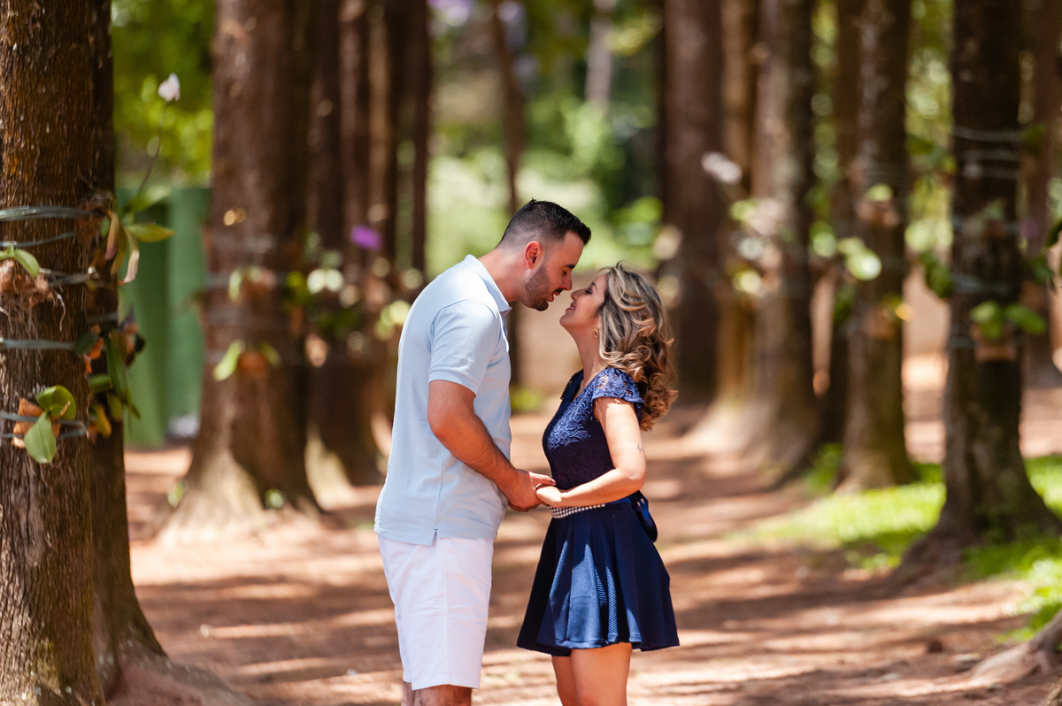 ensaio pre wedding em holambra