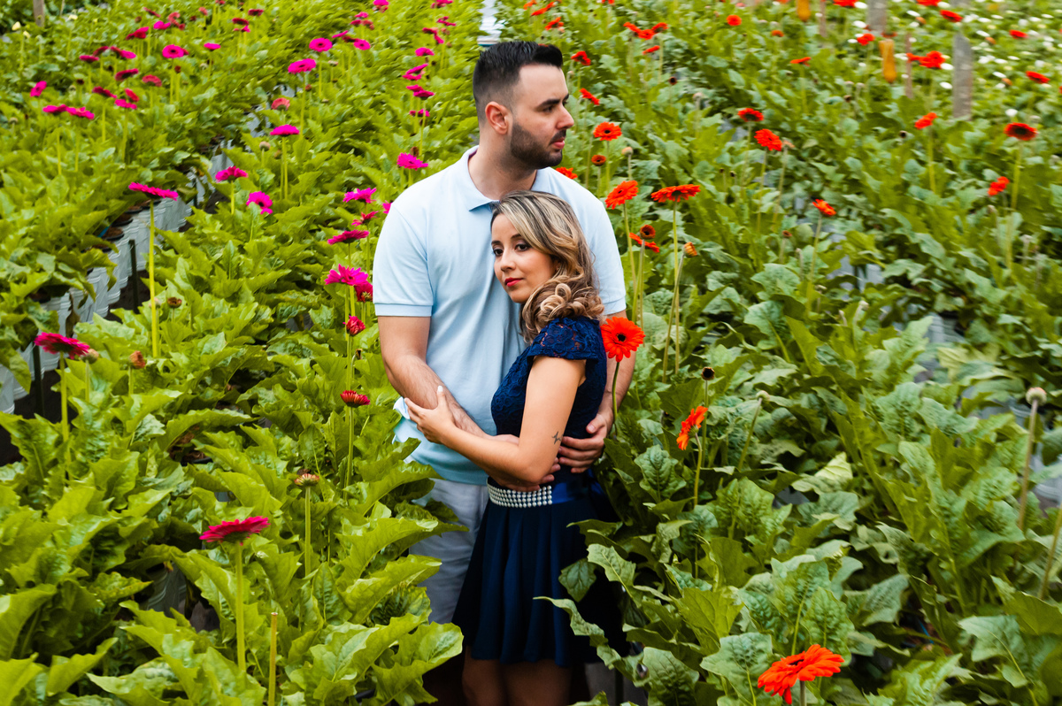 ensaio flores holambra