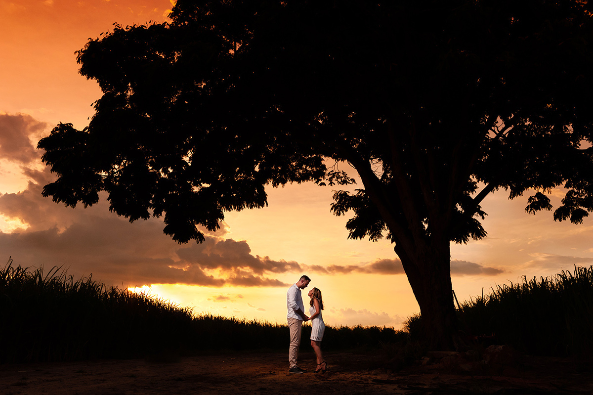 foto por do sol em holambra