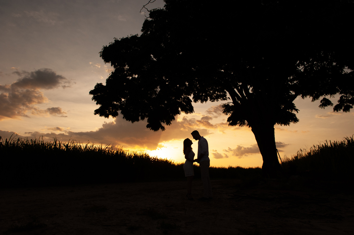 pre wedding em holambra