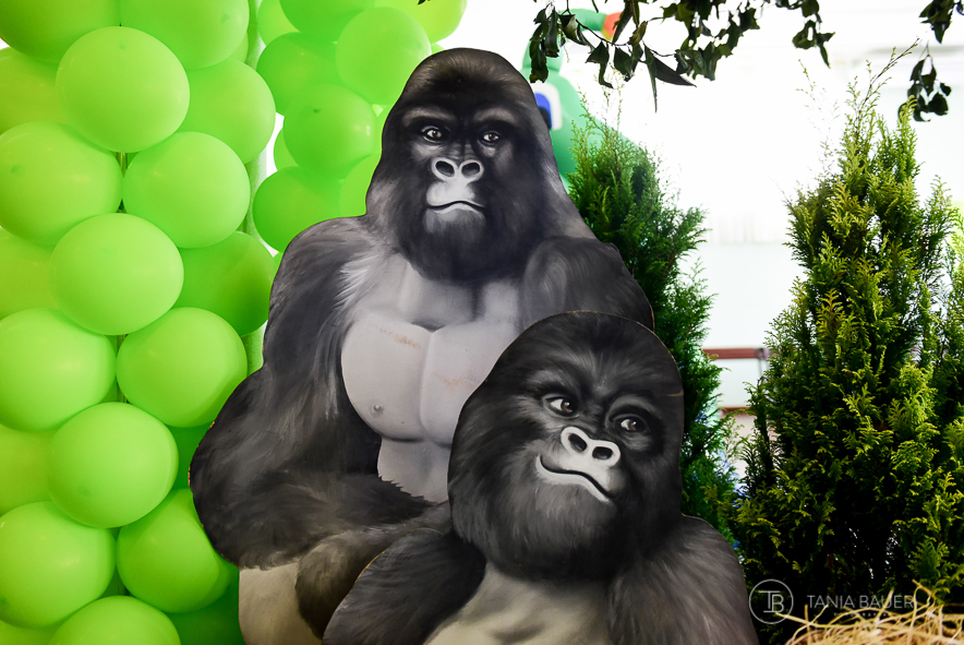 Tania Bauer - Fotografa de Família