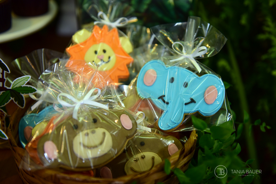 Tania Bauer - Fotografa de Família