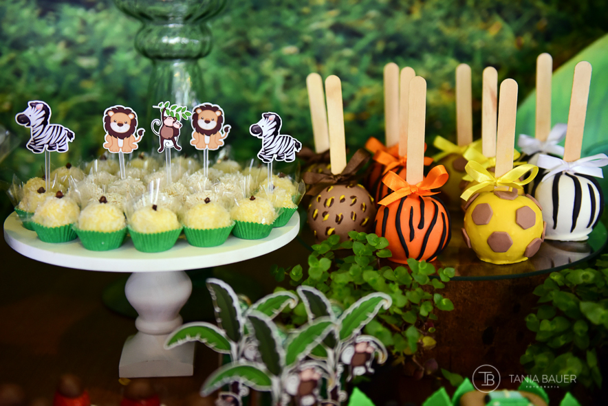 Tania Bauer - Fotografa de Família