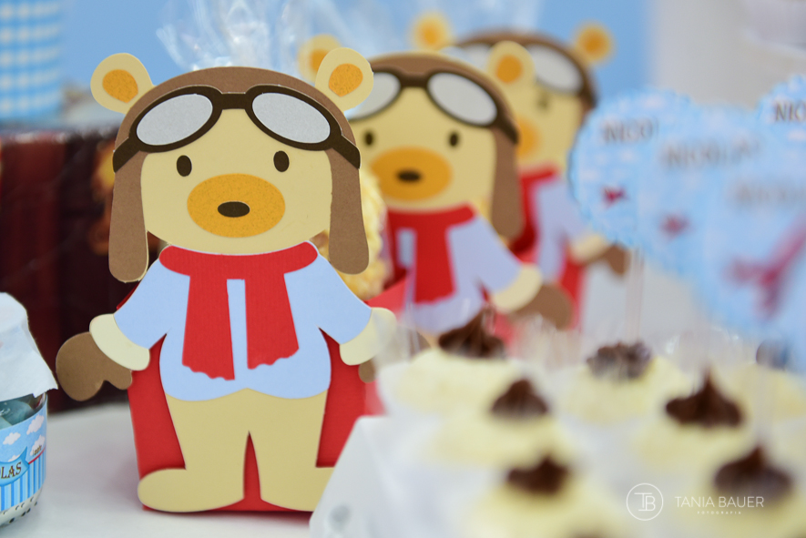 Fotografia de Aniversário em São Bento do Sul, Campo Alegre, Rio Negrinho - Fotografa Tania Bauer