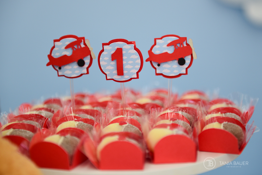 Fotografia de Aniversário em São Bento do Sul, Campo Alegre, Rio Negrinho - Fotografa Tania Bauer