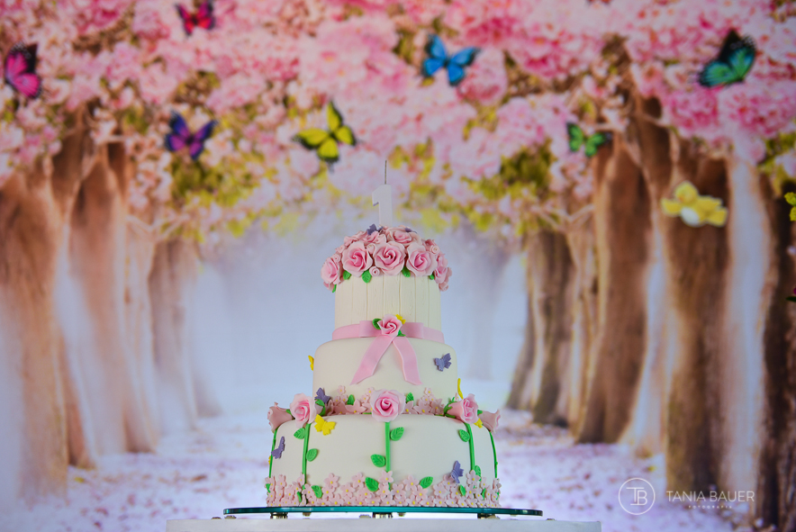 Fotografia Aniversário Infantil - Campo Alegre, São Bento do Sul, Rio Negrinho, Joinville,Itajaí - Fotografa Tania Bauer