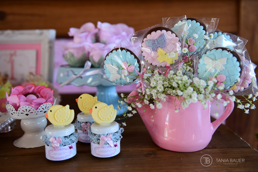 Fotografia Aniversário Infantil - Campo Alegre, São Bento do Sul, Rio Negrinho, Joinville,Itajaí - Fotografa Tania Bauer