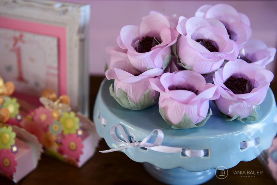 Fotografia Aniversário Infantil - Campo Alegre, São Bento do Sul, Rio Negrinho, Joinville,Itajaí - Fotografa Tania Bauer