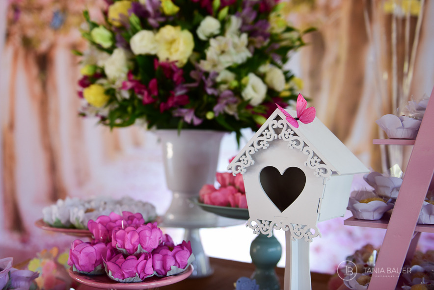 Fotografia Aniversário Infantil - Campo Alegre, São Bento do Sul, Rio Negrinho, Joinville,Itajaí - Fotografa Tania Bauer