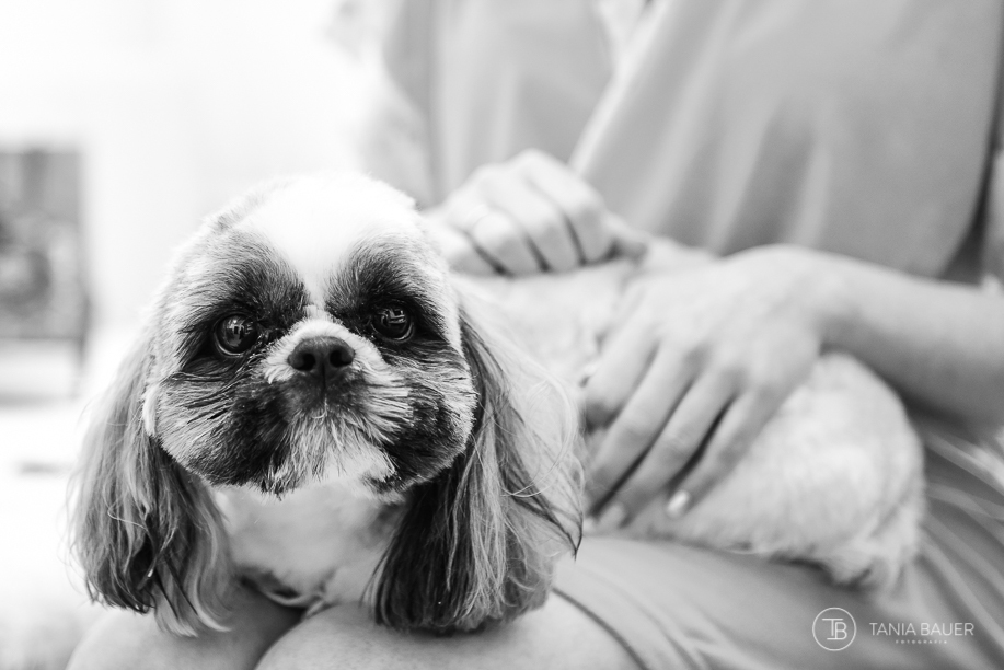 Fotografia de casamento - Campo Alegre, São Bento do Sul, Rio Negrinho, Mafra- Fotografa Tania Bauer