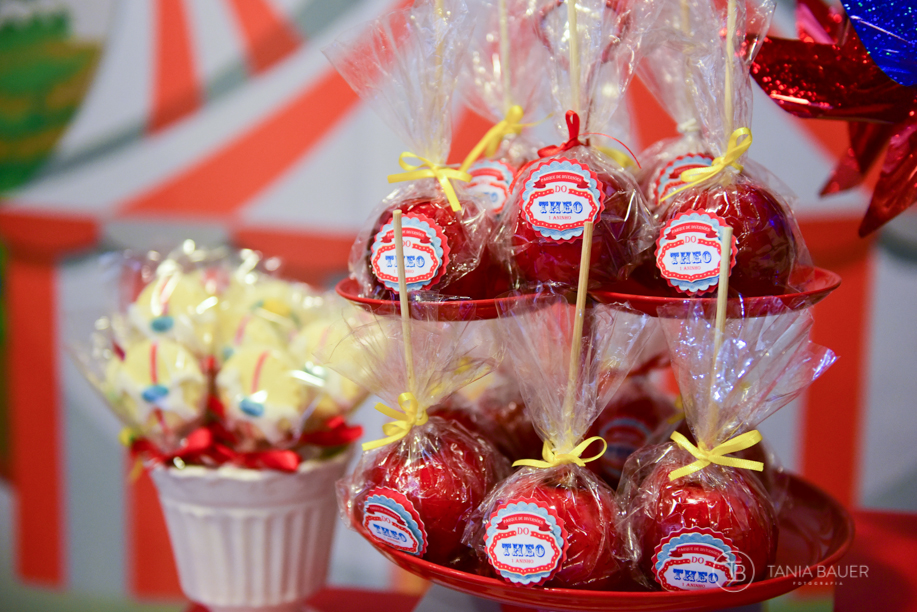 Fotografa aniversario infantil - Tania Bauer - São Bento do Sul, Campo Alegre e Rio Negrinho