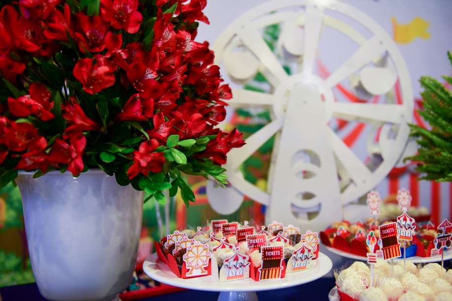 Fotografa aniversario infantil - Tania Bauer - São Bento do Sul, Campo Alegre e Rio Negrinho