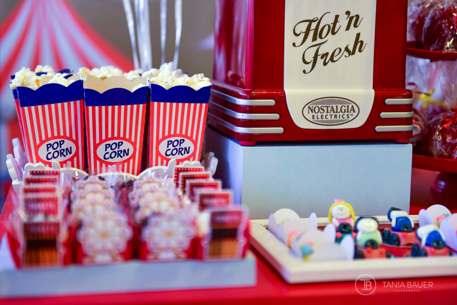 Fotografa aniversario infantil - Tania Bauer - São Bento do Sul, Campo Alegre e Rio Negrinho