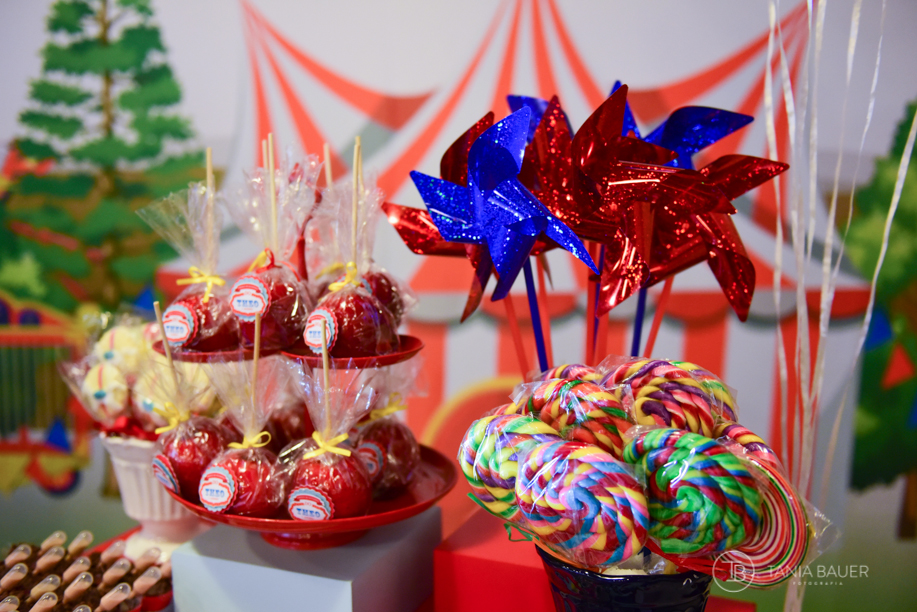 Fotografa aniversario infantil - Tania Bauer - São Bento do Sul, Campo Alegre e Rio Negrinho