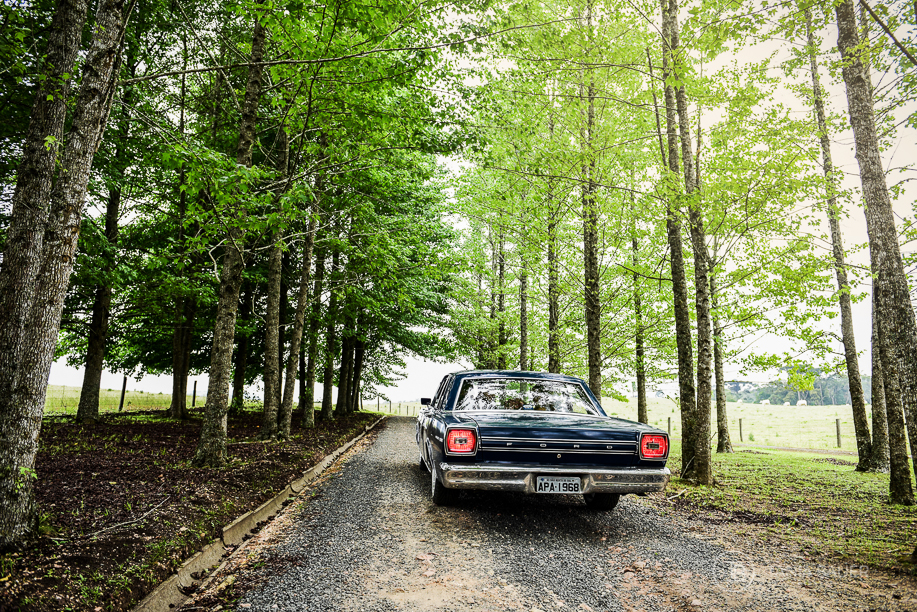 Fotografia de Casamento - Campo Alegre - Fotografa Tania Bauer