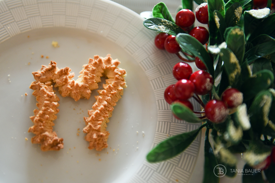 Ensaio de Família - fotografa de São Bento do Sul - Tania Bauer