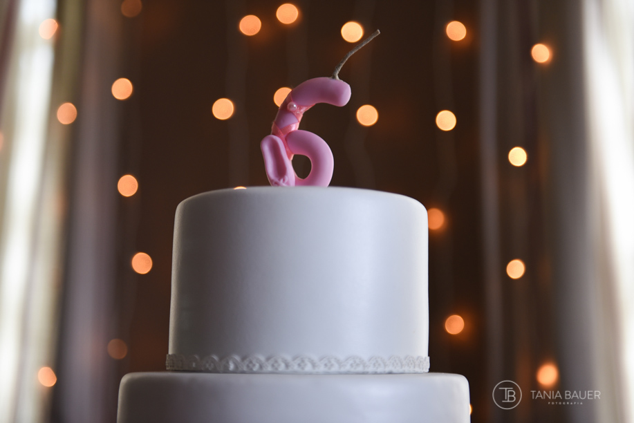 festa-infaltil-fotografa-tania-bauer-são-bento-do-sul-sc