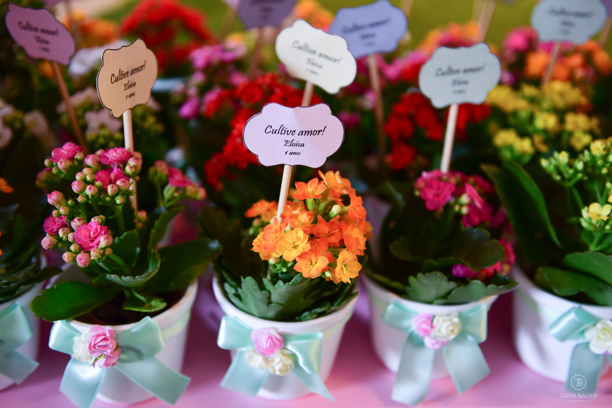 Fotografia de festa infantil - fotografa de Santa Catarina - Tania Bauer 