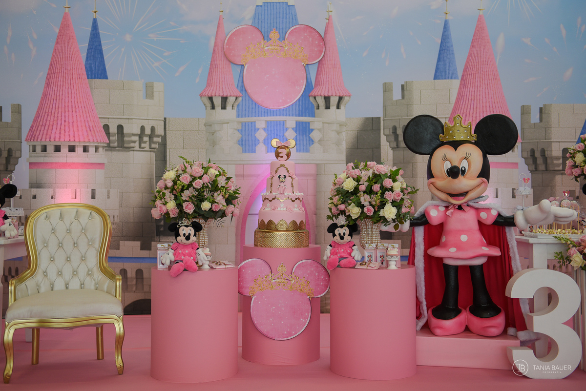 Aniversario Infantil - Fotografa Tania Bauer - São Bento do Sul - SC