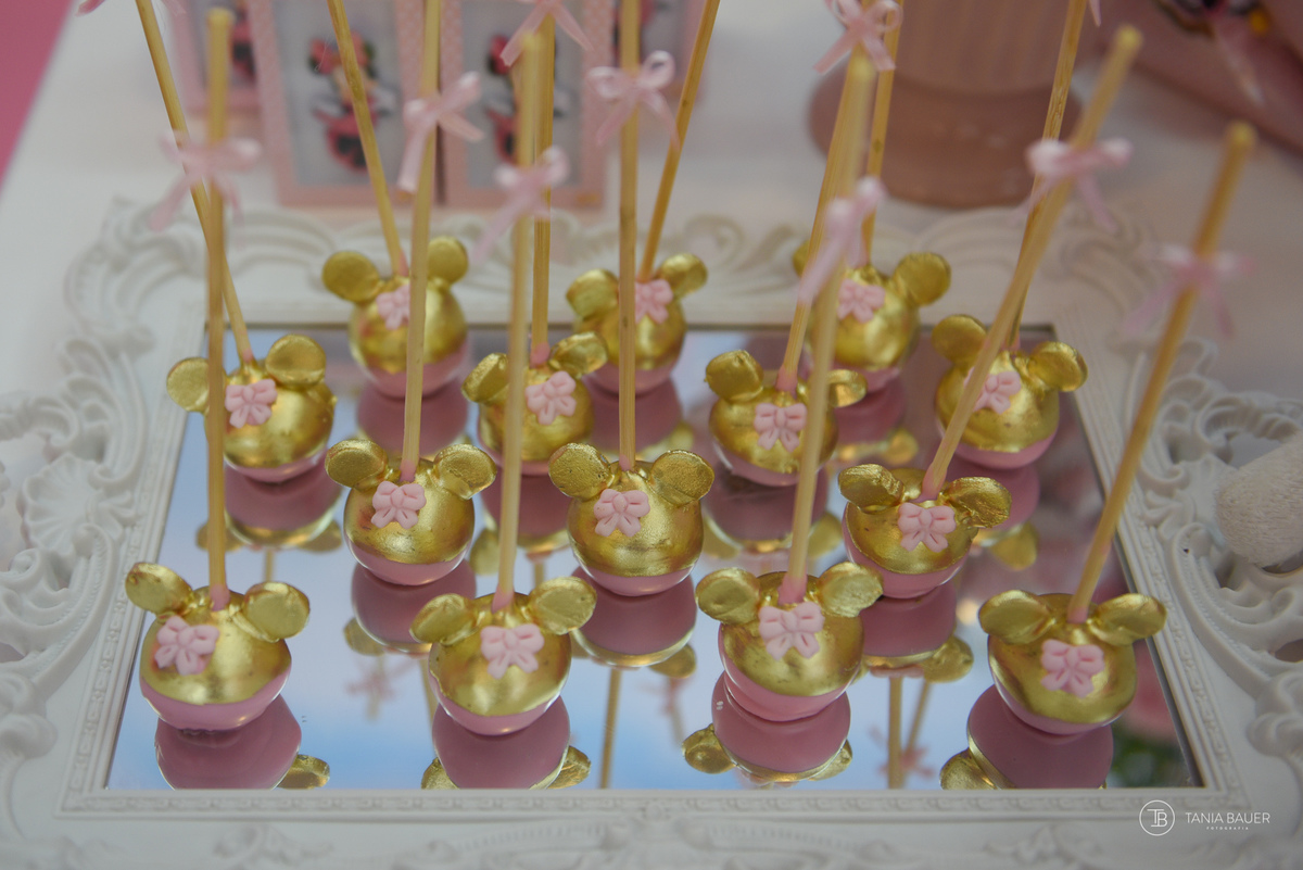 Aniversario Infantil - Fotografa Tania Bauer - São Bento do Sul - SC