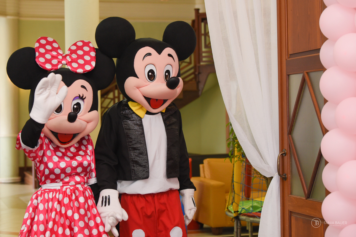 Aniversario Infantil - Fotografa Tania Bauer - São Bento do Sul - SC