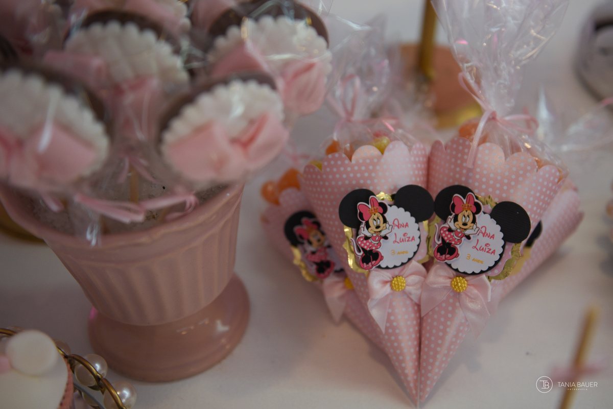 Aniversario Infantil - Fotografa Tania Bauer - São Bento do Sul - SC