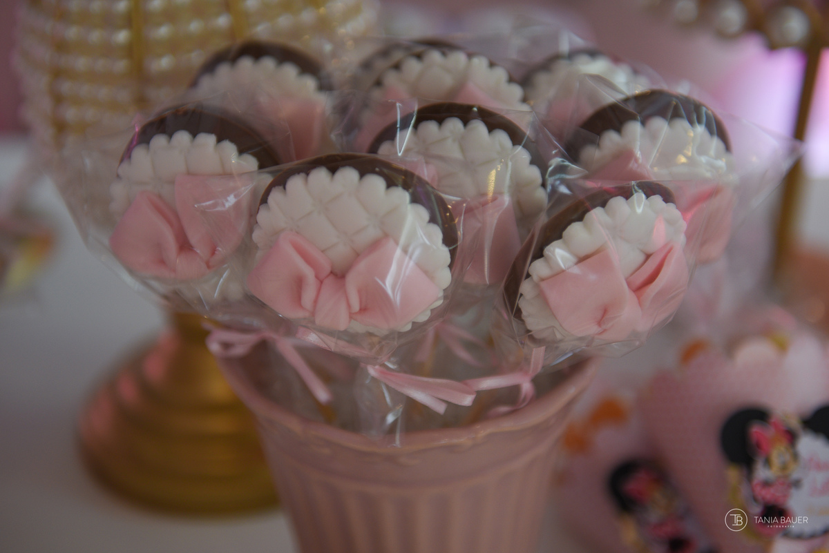 Aniversario Infantil - Fotografa Tania Bauer - São Bento do Sul - SC