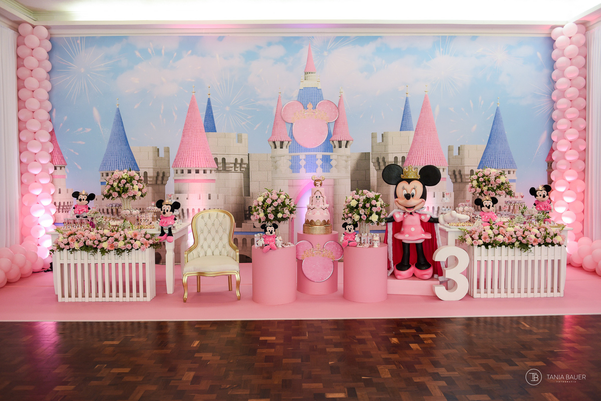 Aniversario Infantil - Fotografa Tania Bauer - São Bento do Sul - SC