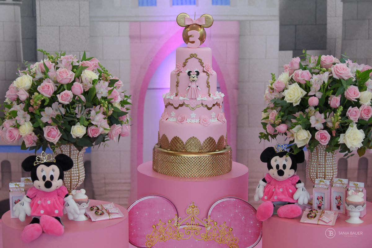 Aniversario Infantil - Fotografa Tania Bauer - São Bento do Sul - SC