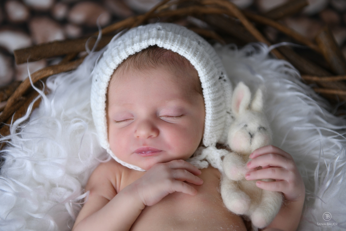 ensaio newborn, recém nascido, fotografa de família, fotografa São Bento do Sul, Tania Bauer
