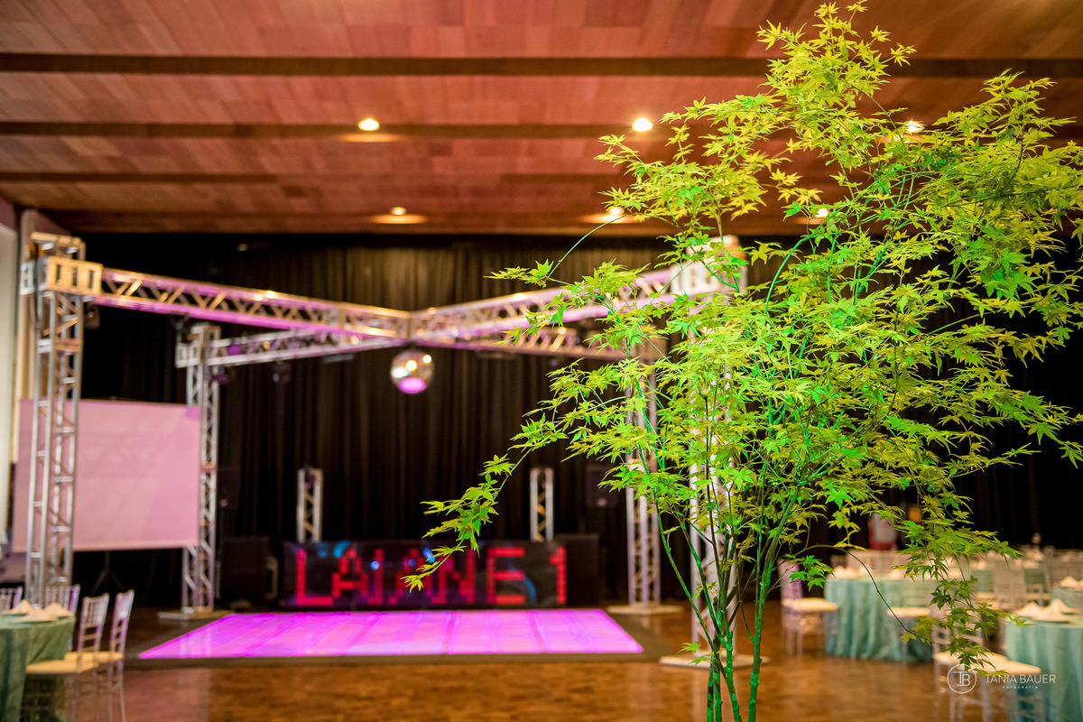 aniversario 15 anos - Fotografa de 15 anos - Fotografa São Bento do Sul - SC - Tania Bauer Fotografia