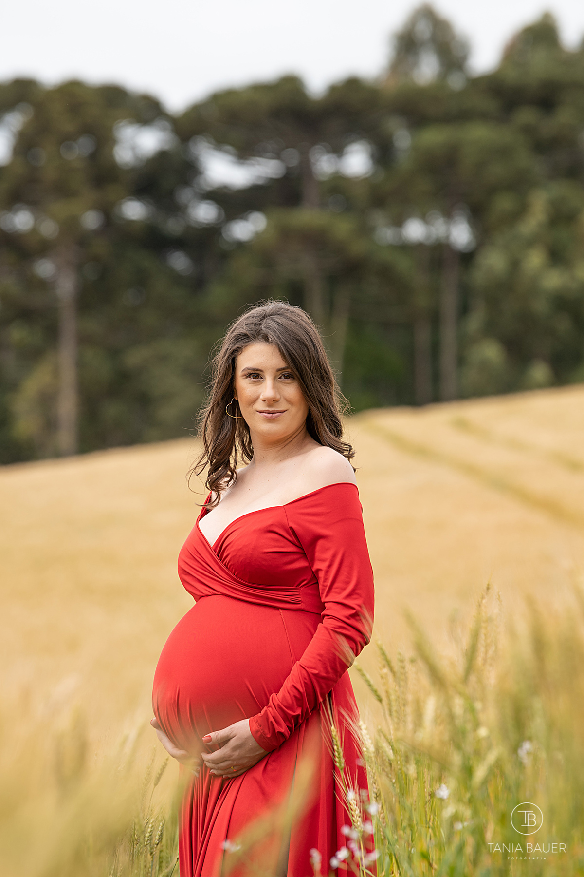 Fotografa de família, Tania Bauer fotografia, Tania Bauer, Fotografa de São Bento do Sul, Campo Alegre, SC, ensaio gestante, gravida