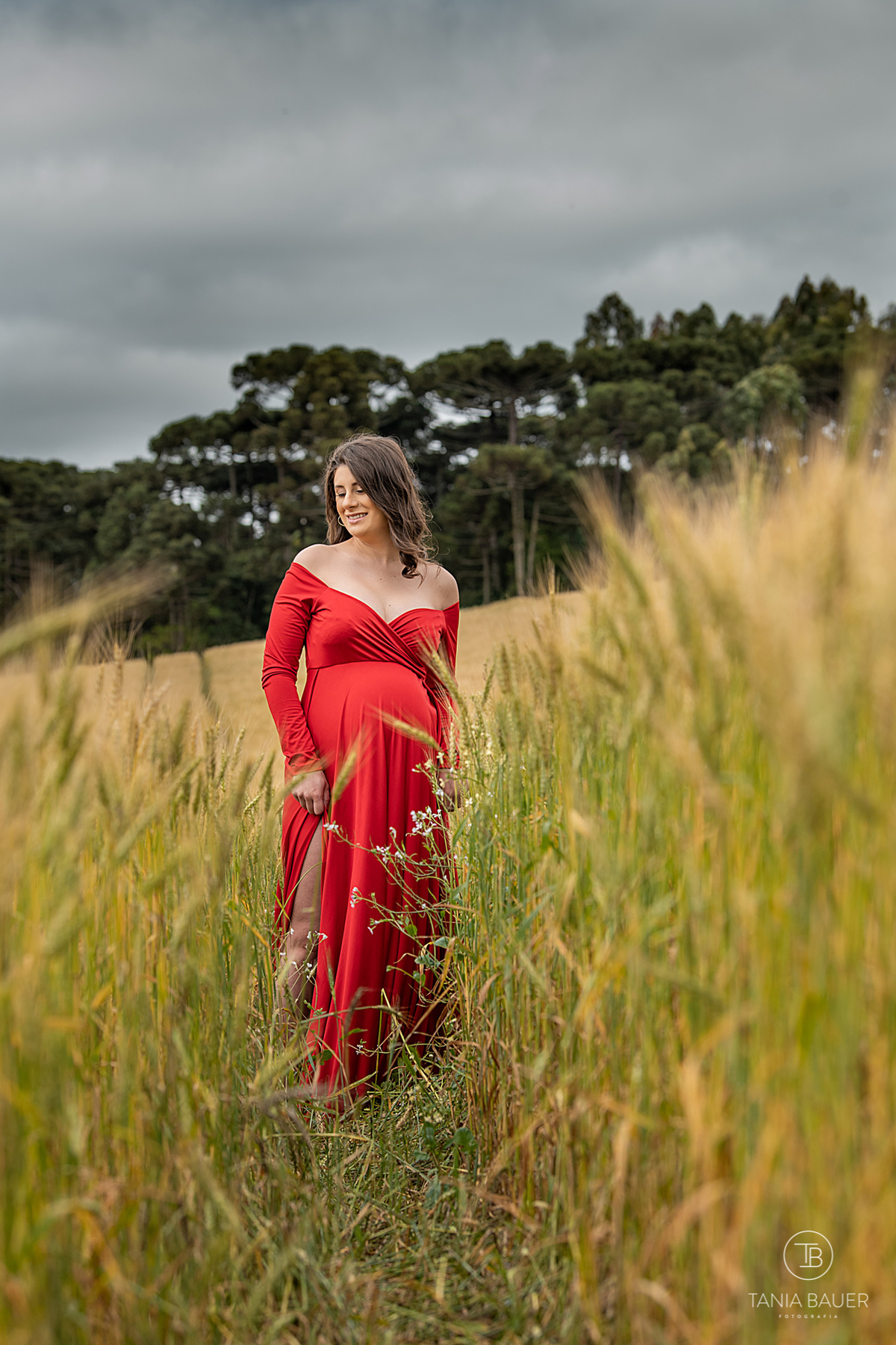 Fotografa de família, Tania Bauer fotografia, Tania Bauer, Fotografa de São Bento do Sul, Campo Alegre, SC, ensaio gestante, gravida