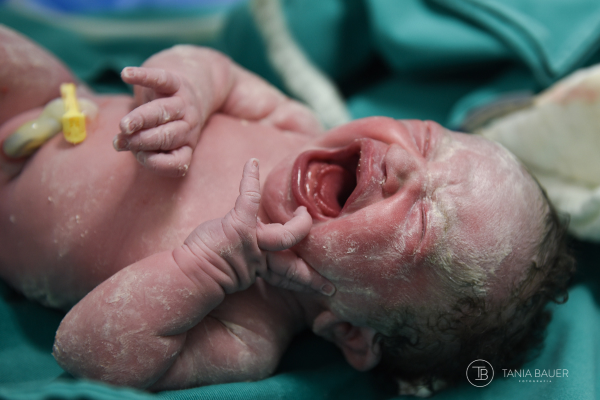 Tania bauer Fotografia, fotografia de parto, fotogafia de gestante, fotografa de parto, parto, cemox, gestante, nascimento, Tania Bauer