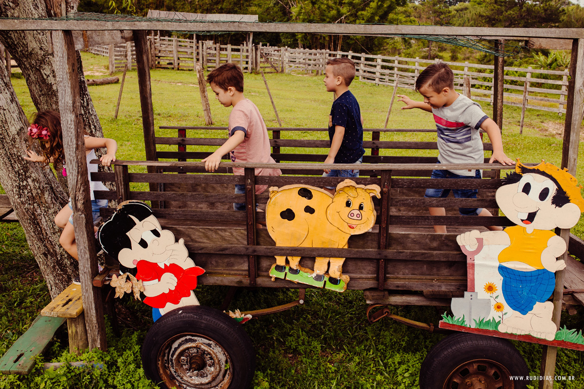 festa de aniversario na fazenda