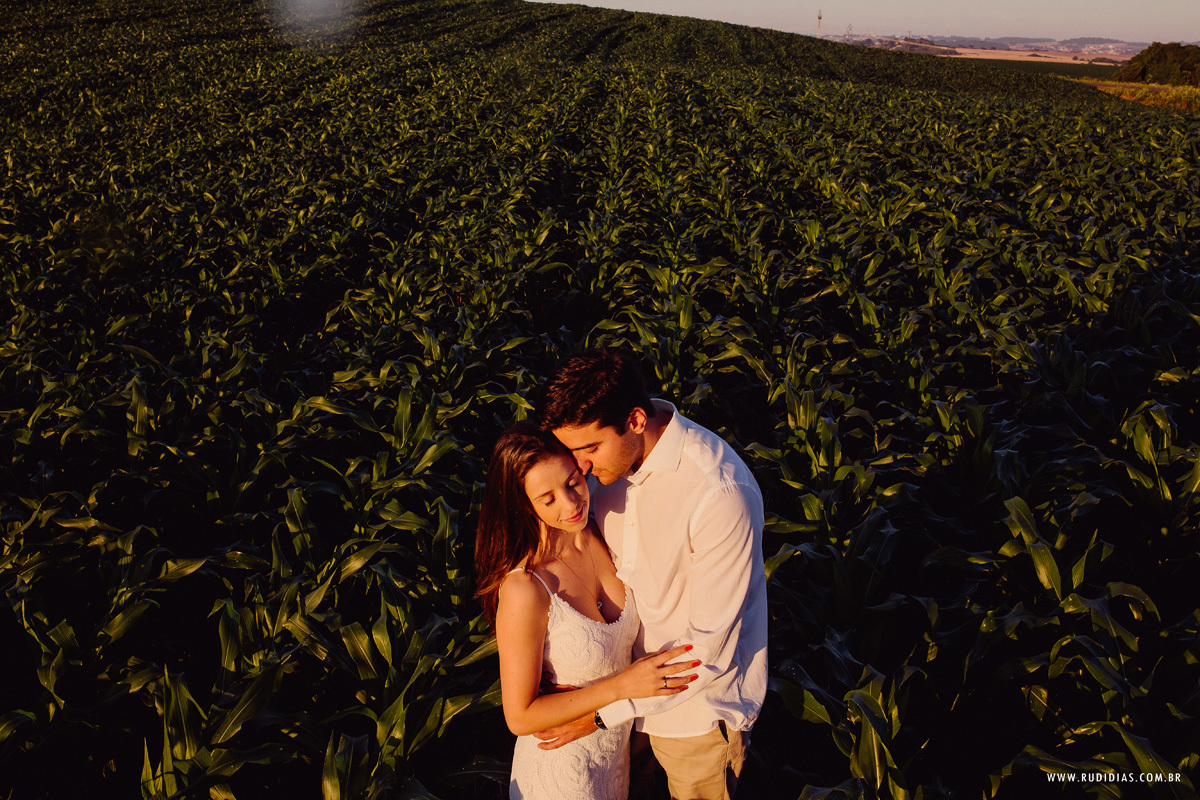 ensaio fotografico na plantação de milho