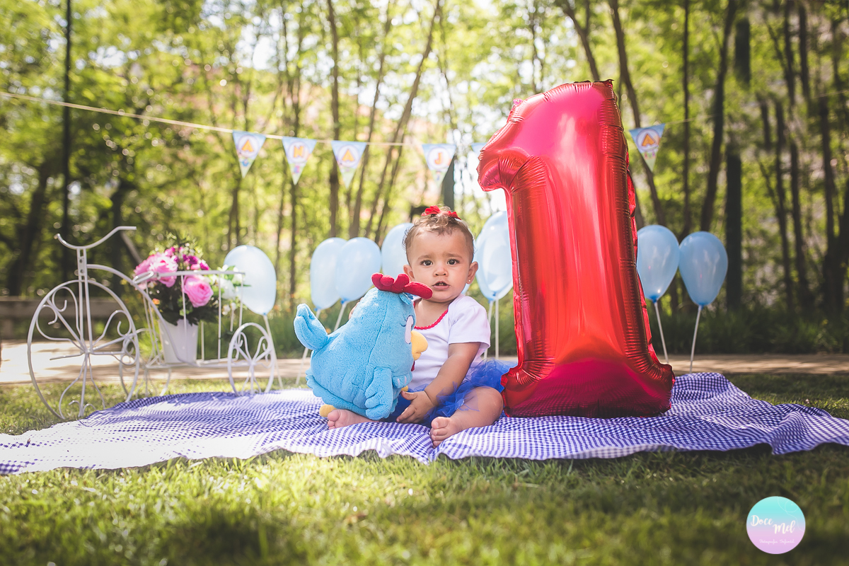 smash the cake externo, smash the cake, foto de bebes, foto de criancas, fotos de um aninho, primeiro aninho, fotografia infantil