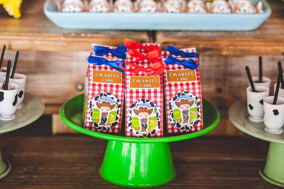 fotografia infantil, doce mel fotografia infantil, fotos de crianca, fotos  de bebe, festa de um aninho, um aninho, festa infantil, fotografo de criancas, festa na fazendinha, tema fazendinha, sao gonçalo, nitéroi