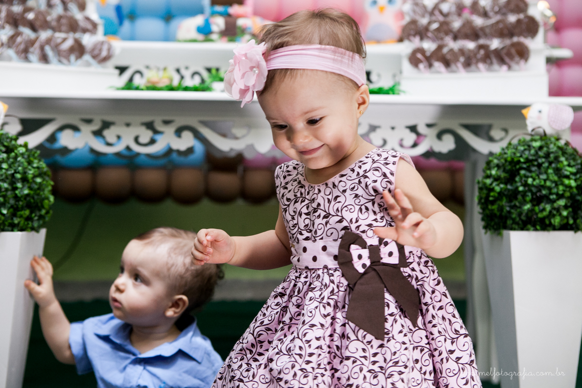 primeiro aninho dos gêmeos Geovana e Bernardo-Tema de corujinhas,São Gonçalo-Rj.