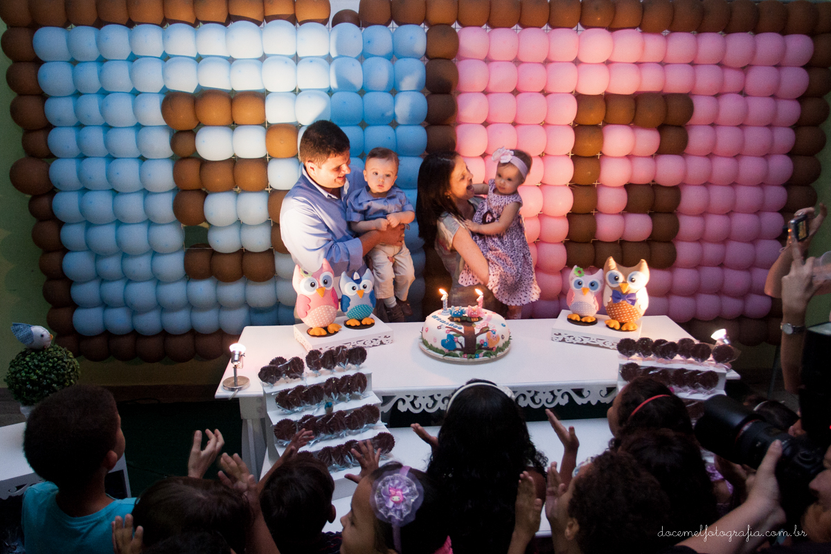 primeiro aninho dos gêmeos Geovana e Bernardo-Tema de corujinhas,São Gonçalo-Rj.